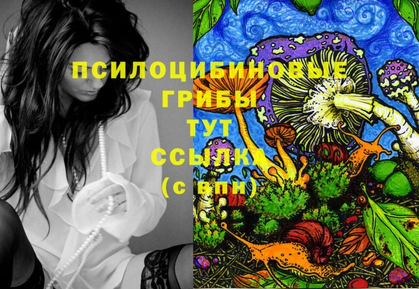МДМА Верхний Тагил